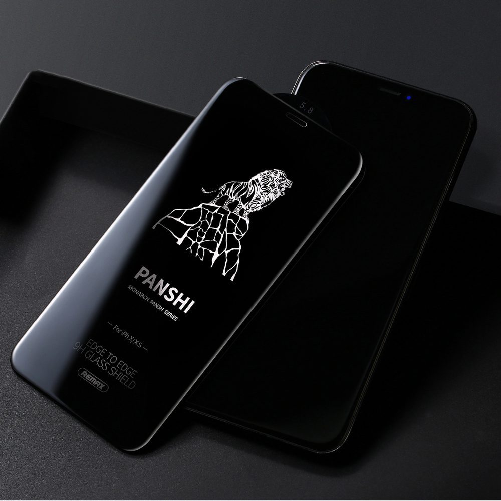 Remax Tempered iPhone 11 Pro X Xs Glass GL-53 Privacy