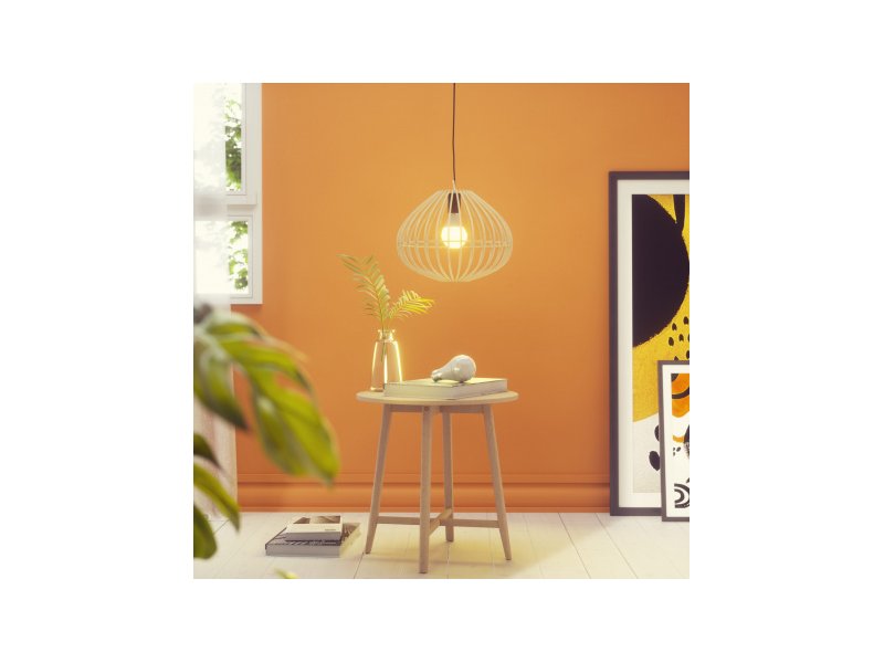 Nanoleaf Essentials - Smart E27 Light Bulb product photo