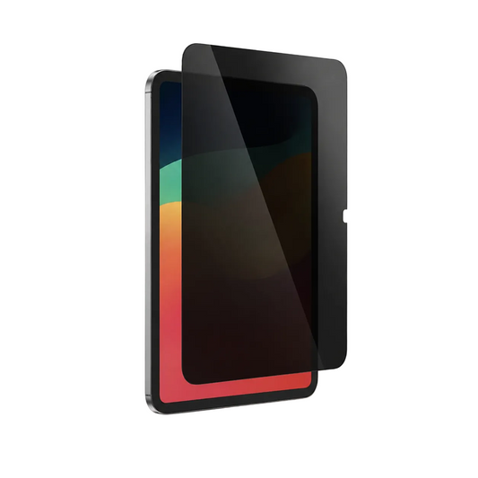 AmazingThing IPAD PRO 11 (M4) 2024 2.5D F COV Radix Privacy