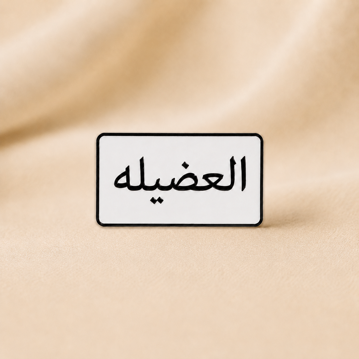Family Name Sticker product photo