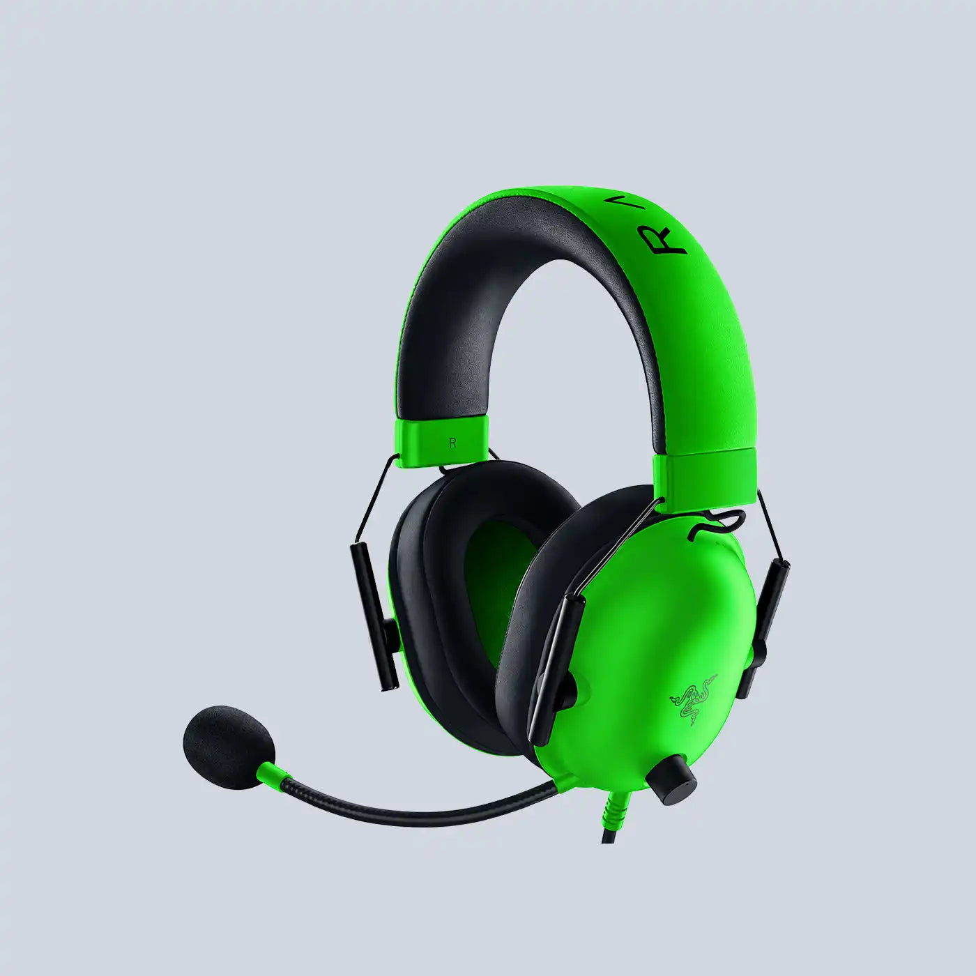 Razer BlackShark V2 X Multi-platform Wired Esport Headset - Green Edition