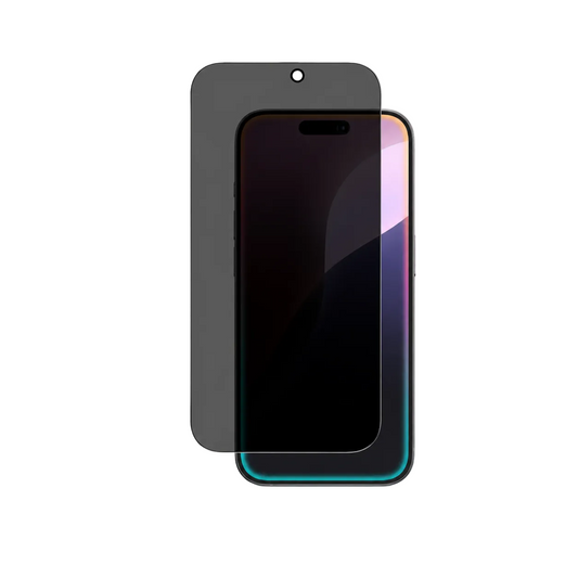 AmazingThing IPHONE 16 PRO 6.3 2.75D FULLY COVERED DUST FILTER TITAN - PRIVACY GLASS