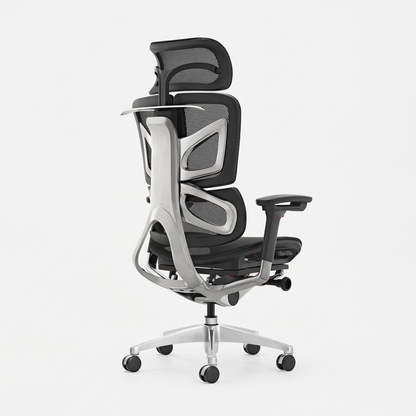GAMVITY Ergonomic Mesh Office Chair Black White Aluminum Alloy product image